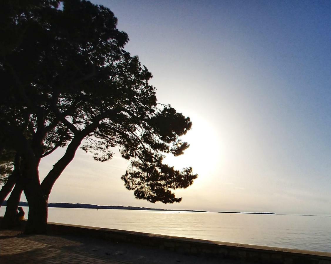 Room Bm Pula Dış mekan fotoğraf