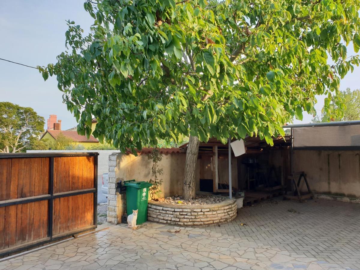 Room Bm Pula Dış mekan fotoğraf